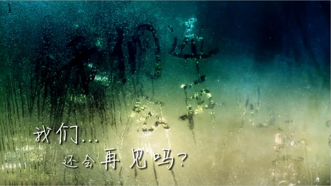 &#27431;&#23453;&#32593;&#39029;&#29256;&#30331;&#24405;&#20837;&#21475;&#45;&#27431;&#23453;&#40;&#20013;&#22269;&#41;